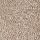 Horizon Carpet: Exquisite Tones Plantation